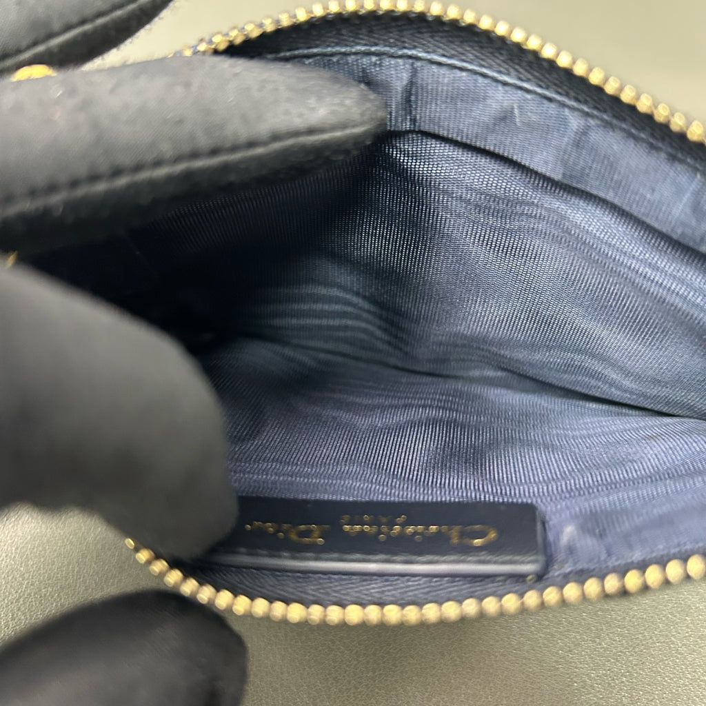 Dior Canvas Blue