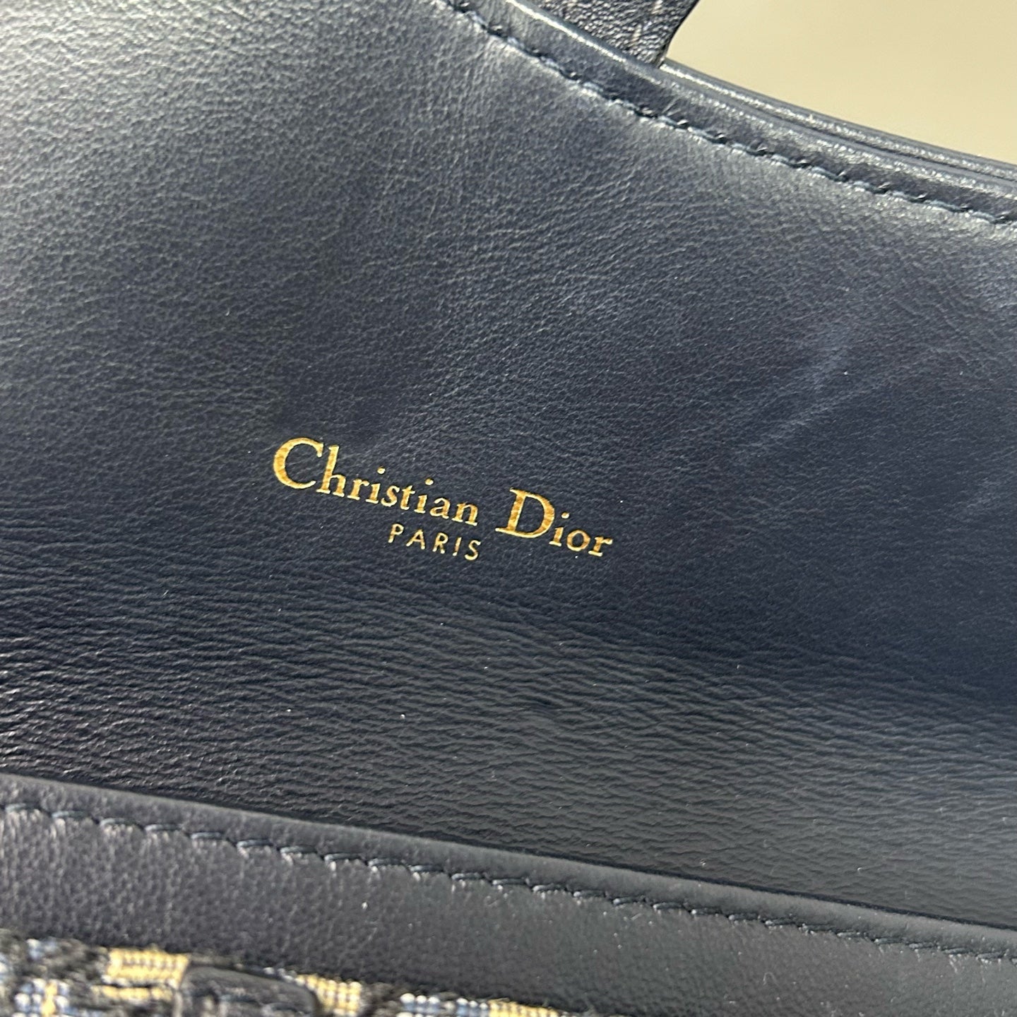 Dior Canvas Blue