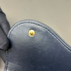 Dior Canvas Blue