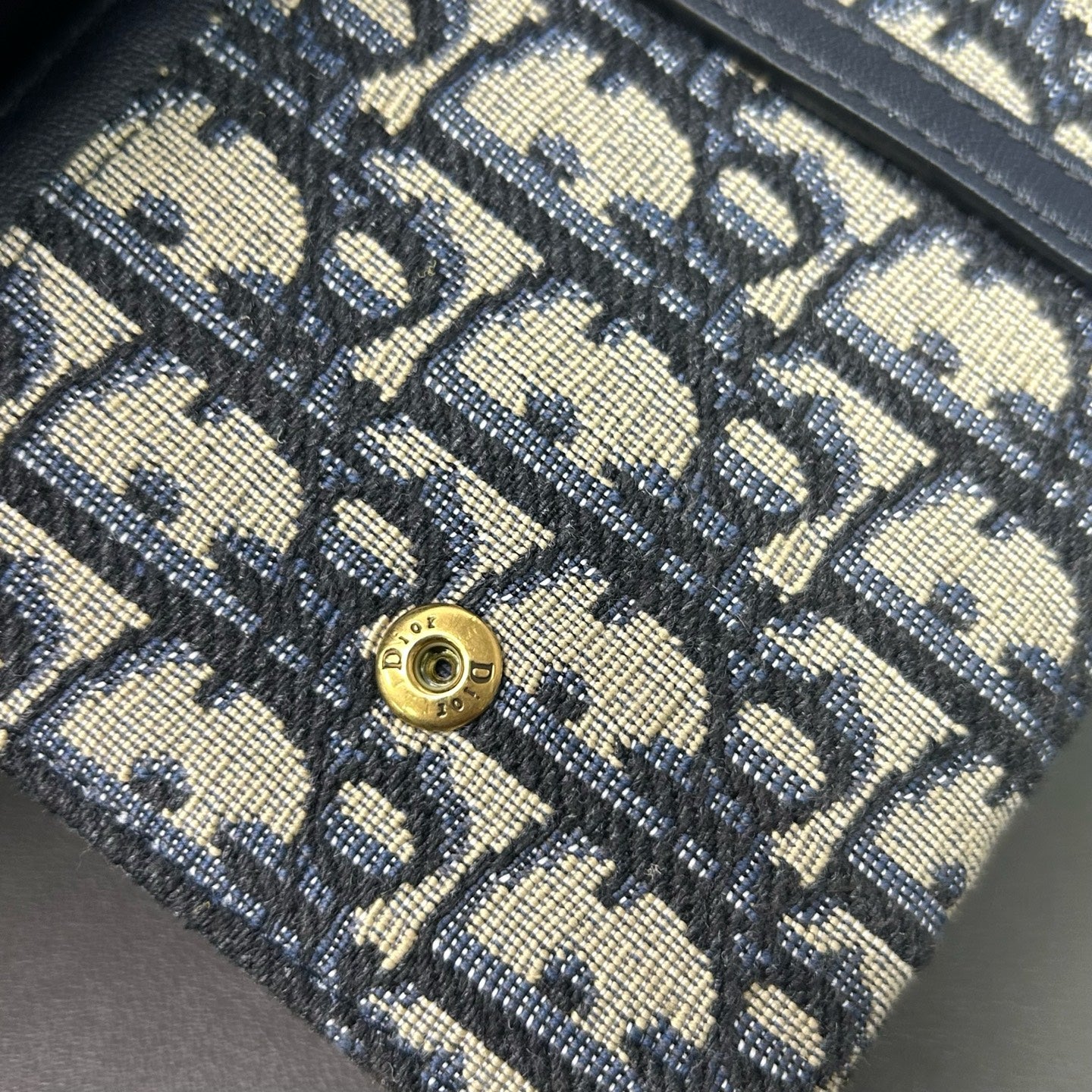 Dior Canvas Blue
