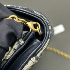 Dior Canvas Blue