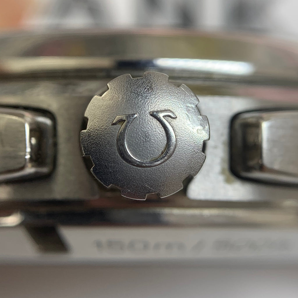 Omega Seahorse 43 millimeters 231.13.43.52.02.001