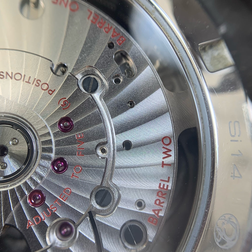Omega Seahorse 43 millimeters 231.13.43.52.02.001