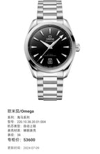 Omega Seahorse Series 38  220.10.38.20.01.004