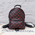 Louis Vuitton Backpack