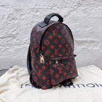 Louis Vuitton Backpack