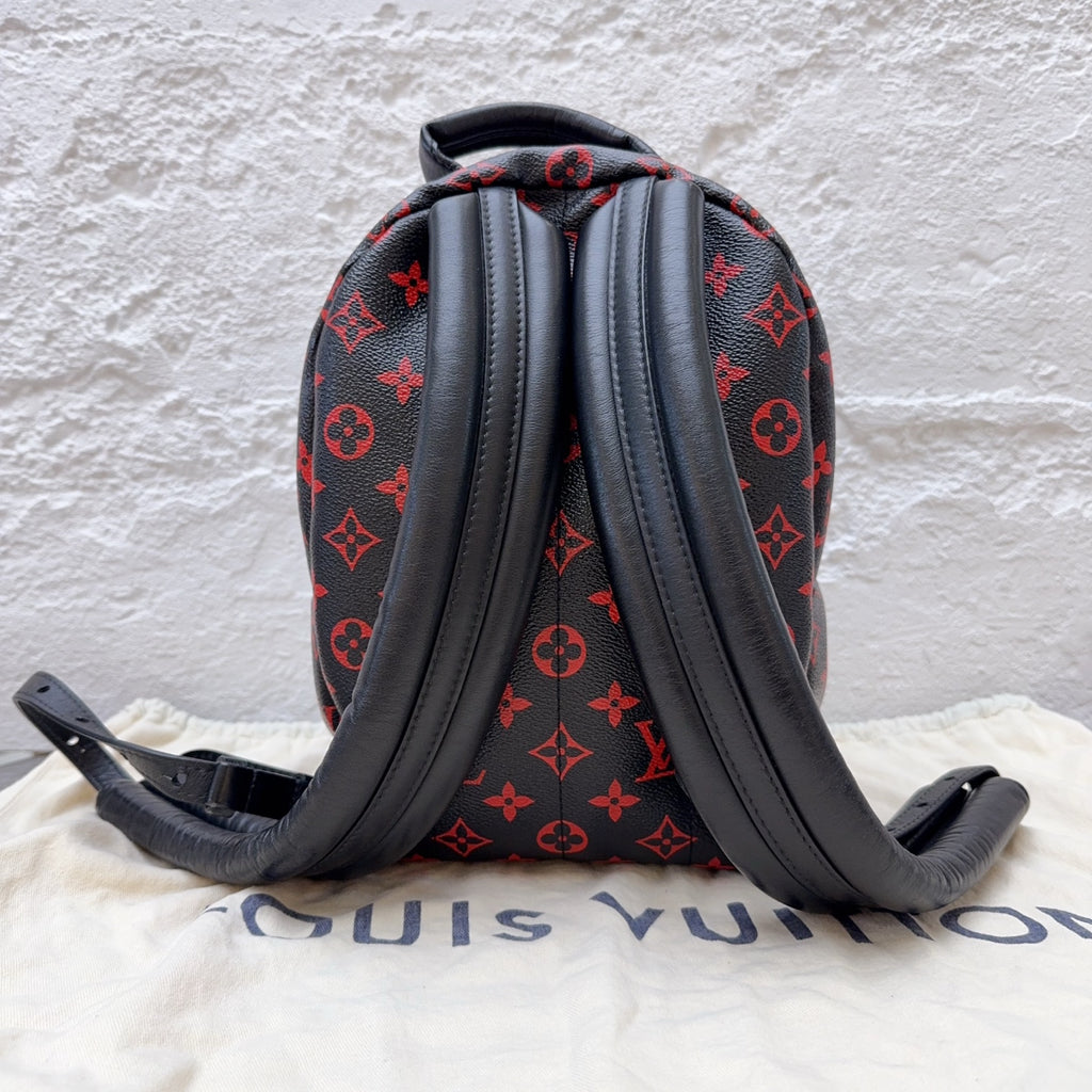 Louis Vuitton Backpack