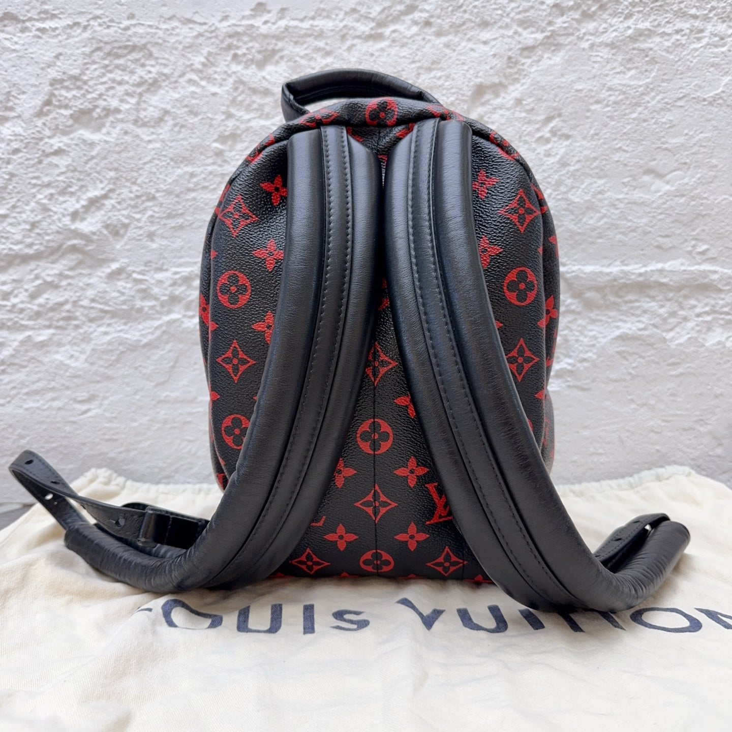 Louis Vuitton Backpack