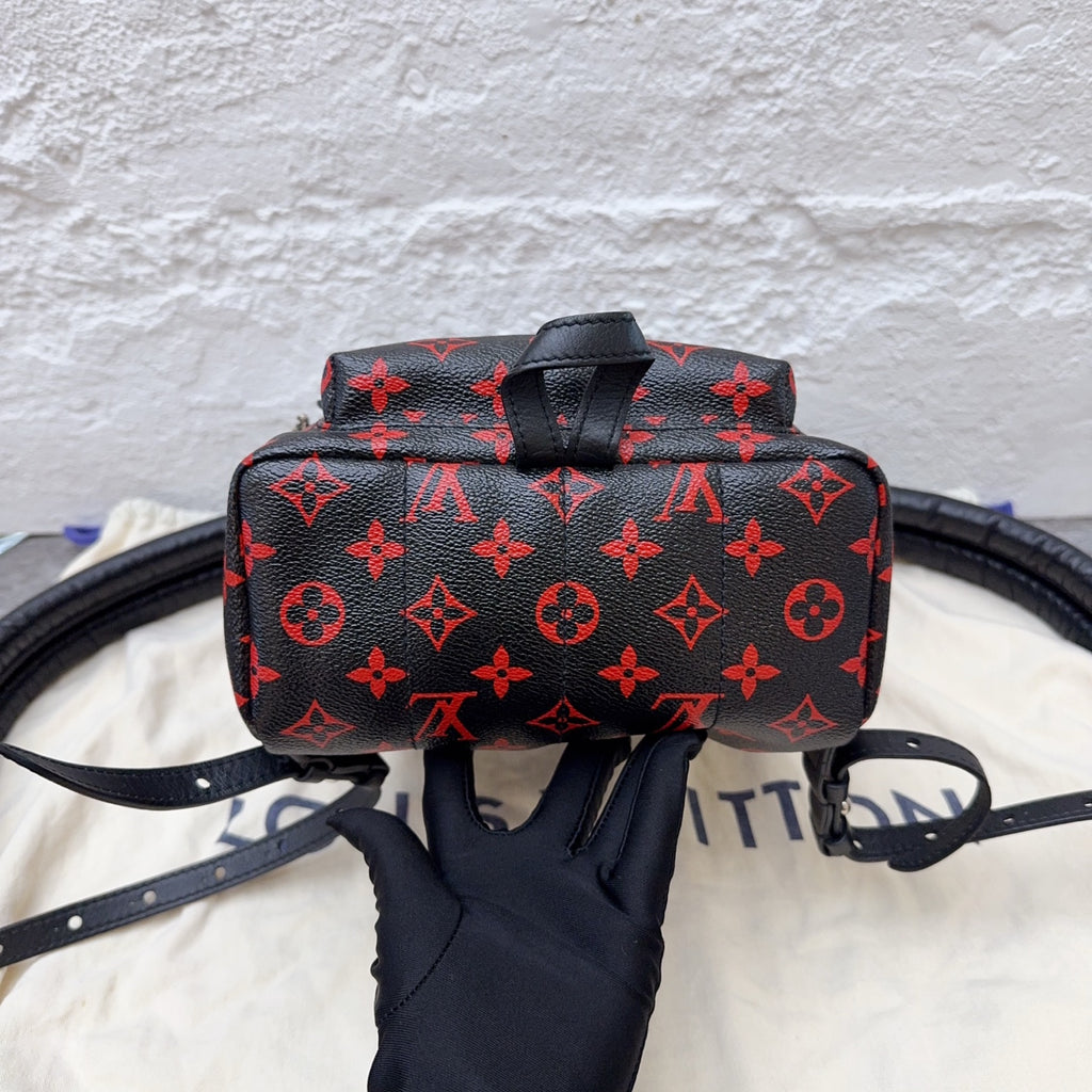 Louis Vuitton Backpack