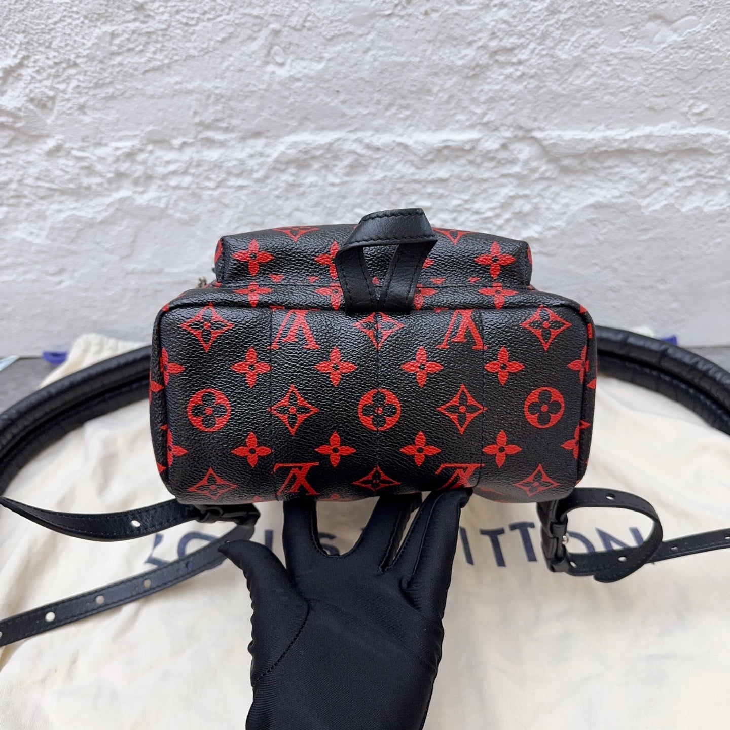 Louis Vuitton Backpack