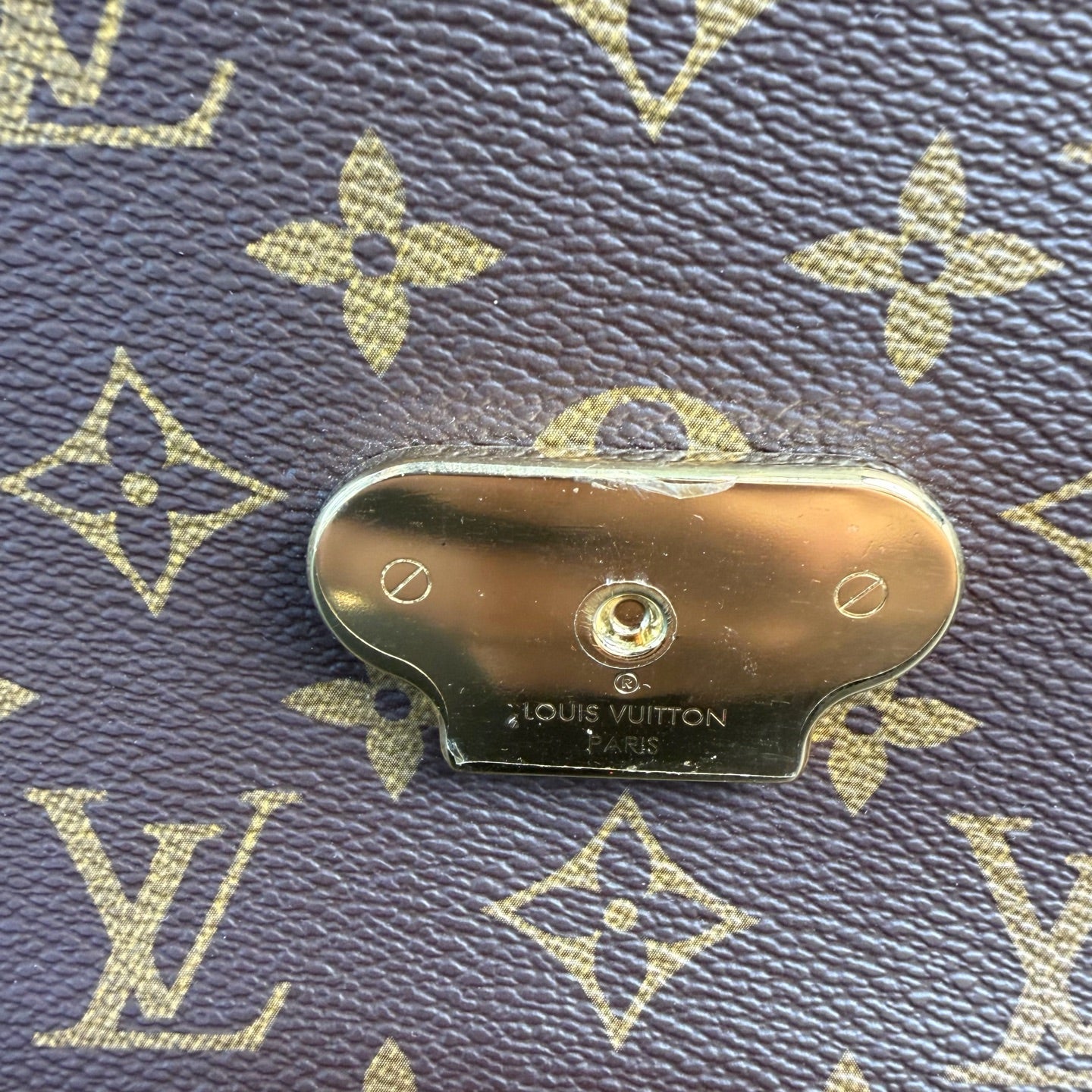 Louis Vuitton Canvas Gold Shoulder Bag