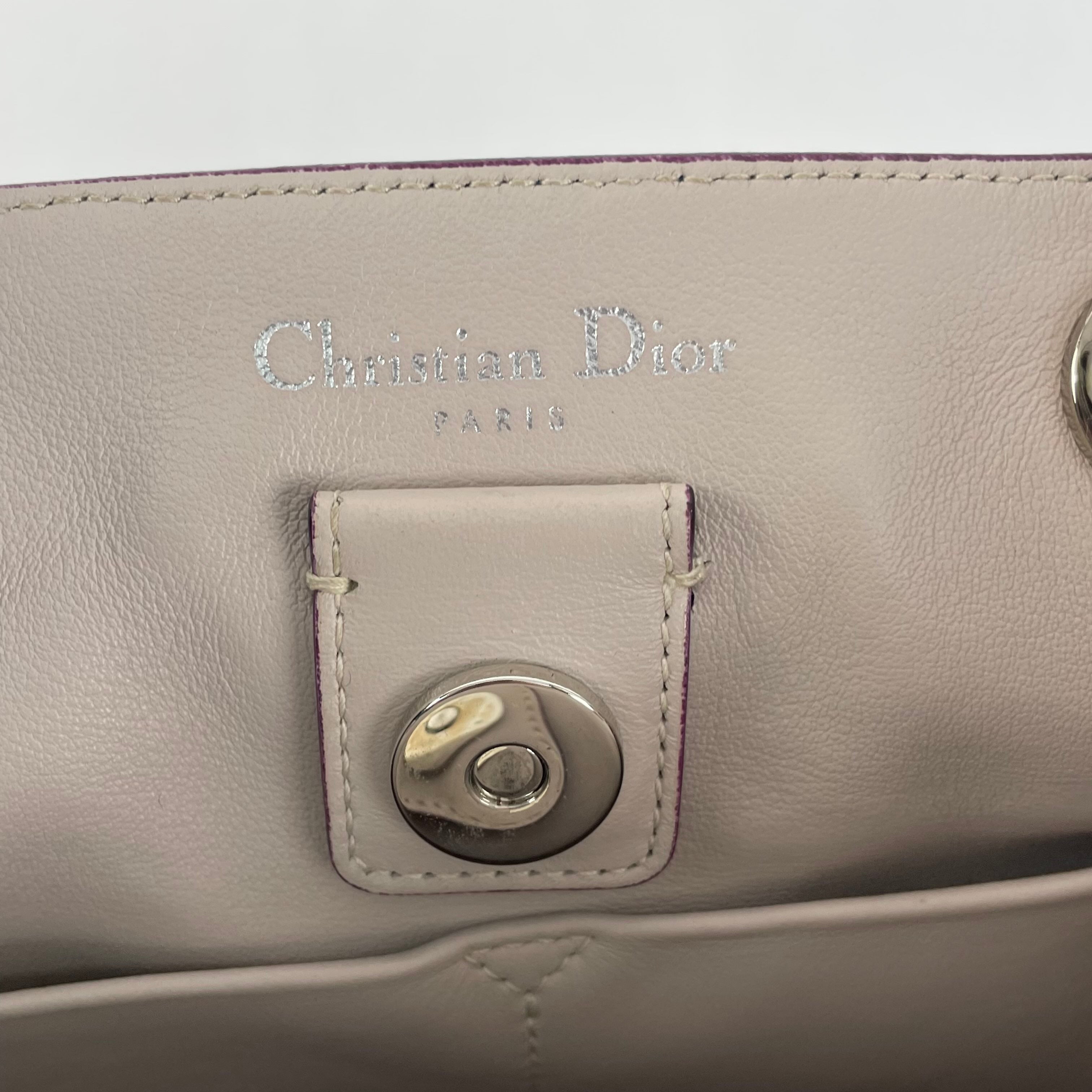 Dior Blue Satchel