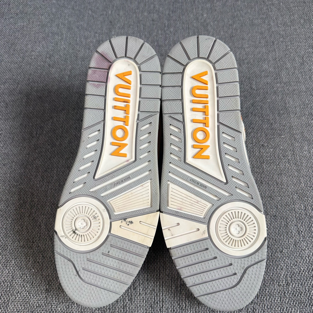 Louis Vuitton Leather Skate shoes