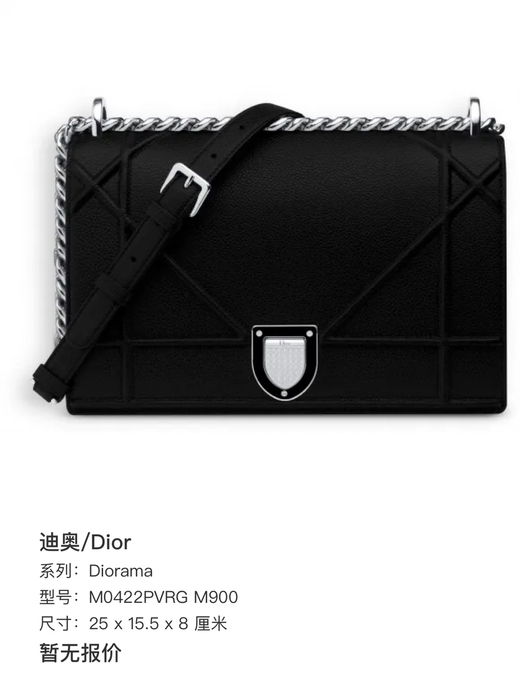 Dior Crossbody