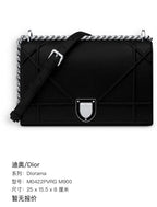 Dior Crossbody