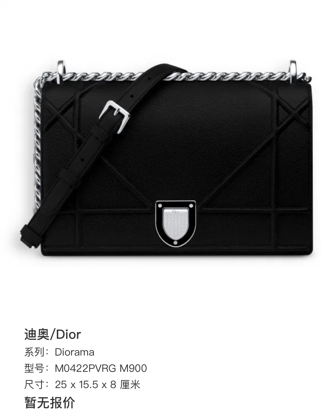 Dior Crossbody