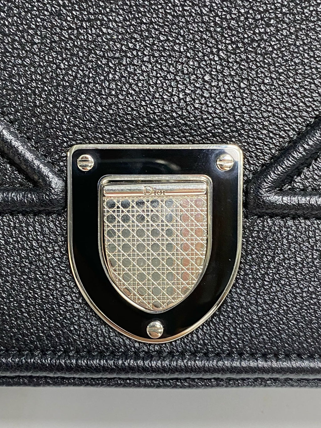 Dior Crossbody