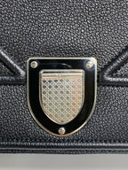 Dior Crossbody