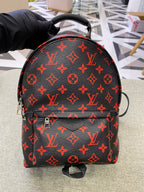 Louis Vuitton Backpack