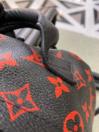 Louis Vuitton Backpack
