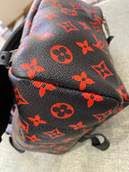 Louis Vuitton Backpack