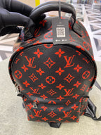 Louis Vuitton Backpack