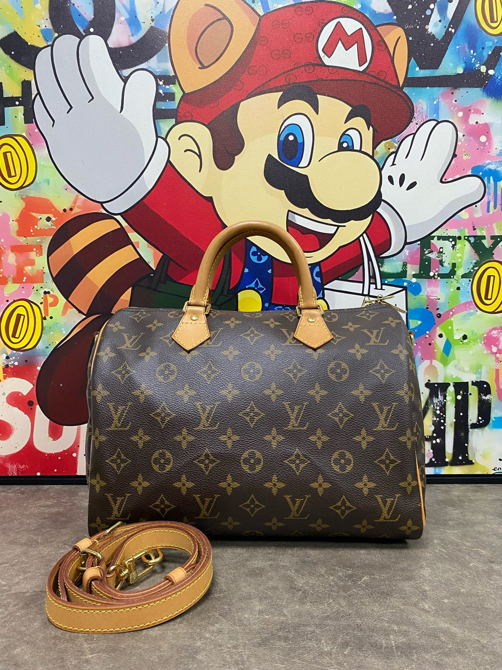 Louis Vuitton Canvas Satchel