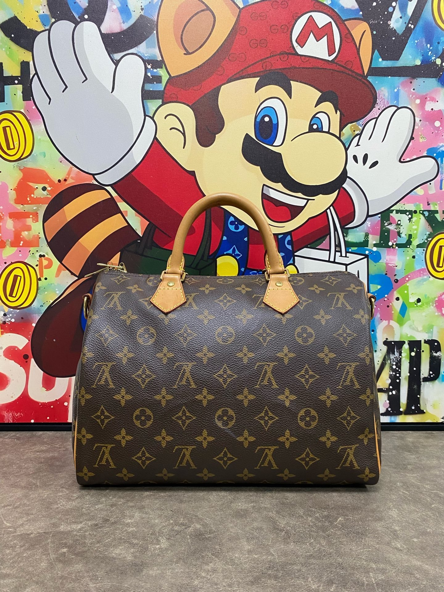 Louis Vuitton Canvas Satchel