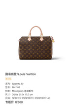 Louis Vuitton Canvas Satchel