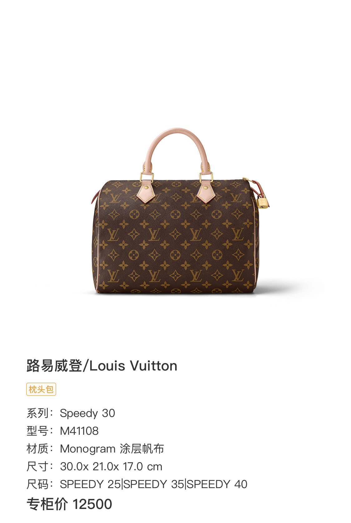 Louis Vuitton Canvas Satchel
