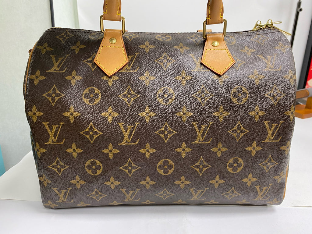 Louis Vuitton Canvas Satchel