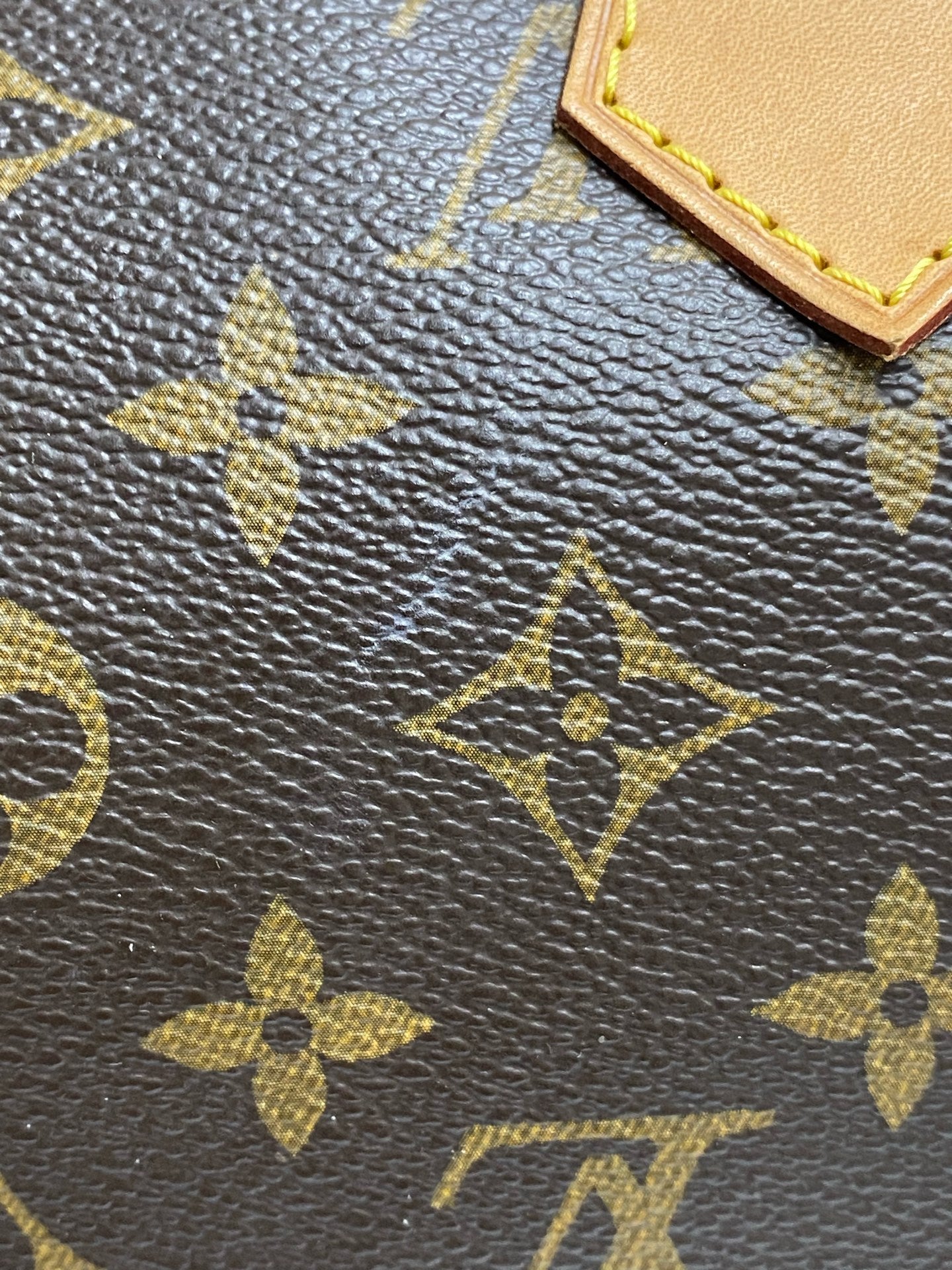 Louis Vuitton Canvas Satchel