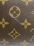 Louis Vuitton Canvas Satchel
