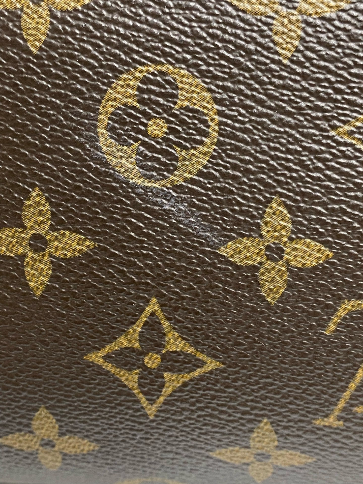 Louis Vuitton Canvas Satchel