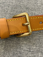 Louis Vuitton Messenger Bag