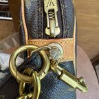 Louis Vuitton Clutch