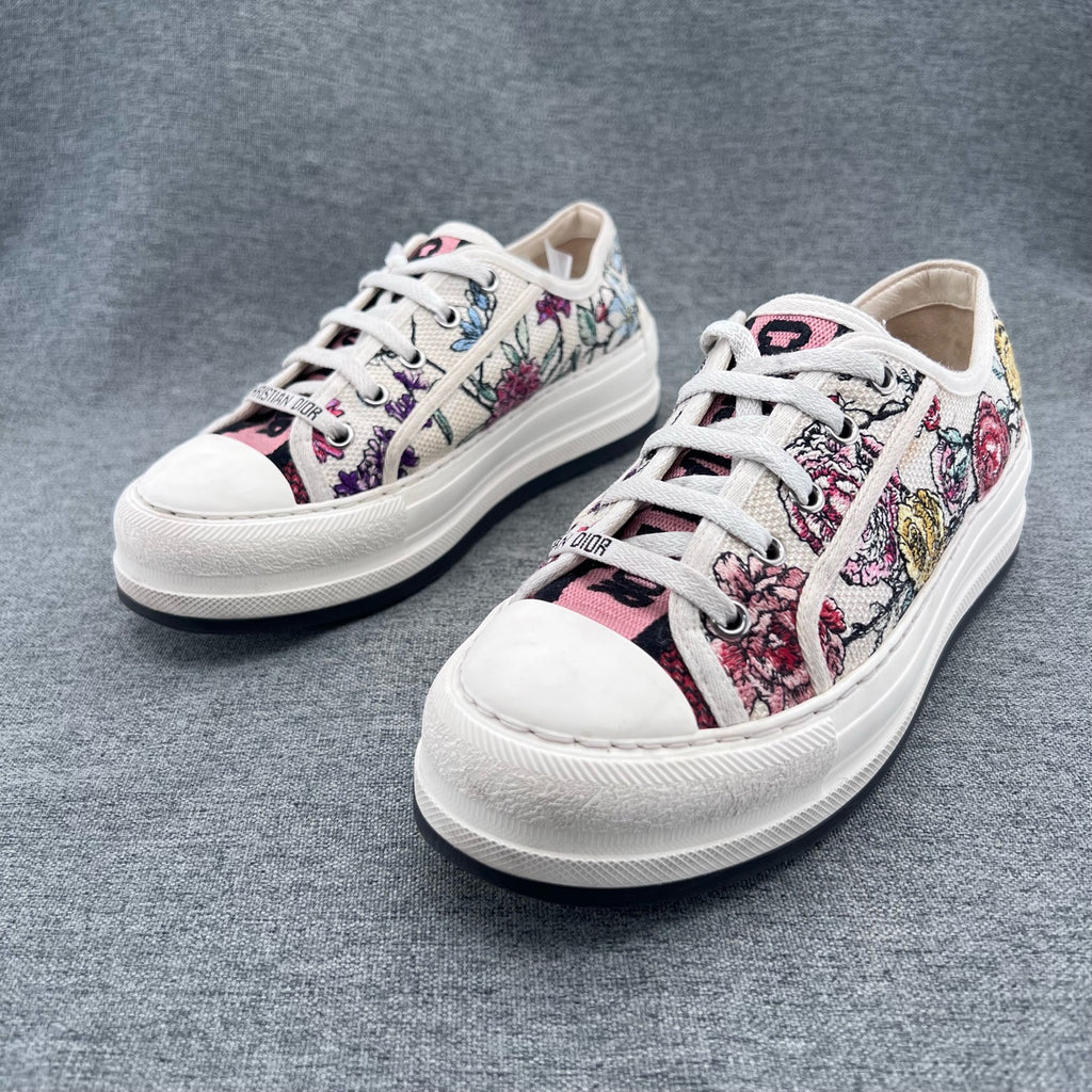 Dior Canvas