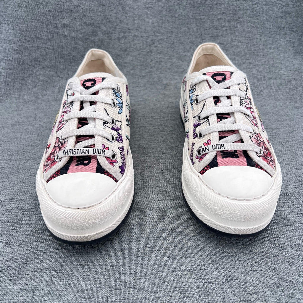 Dior Canvas