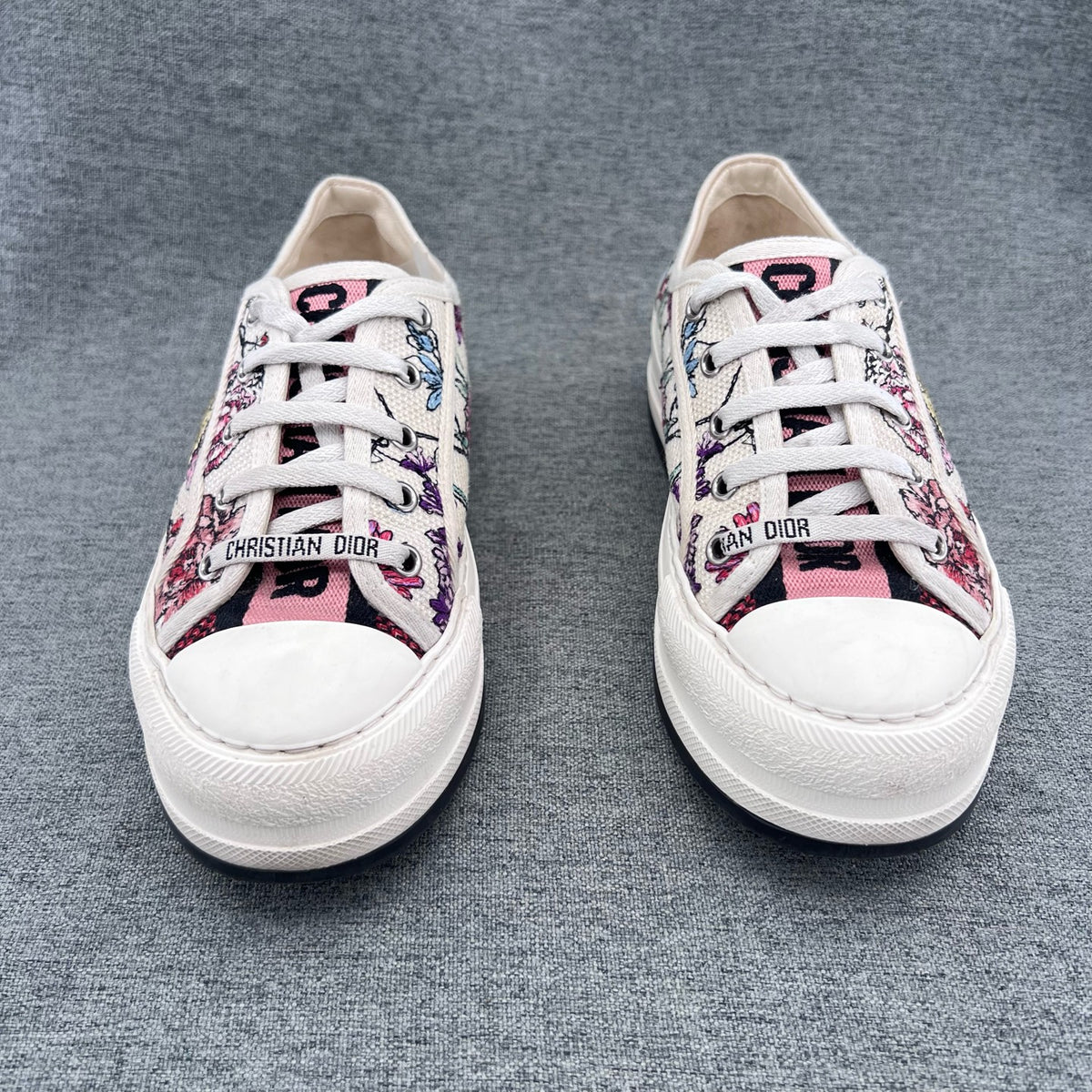 Dior Canvas