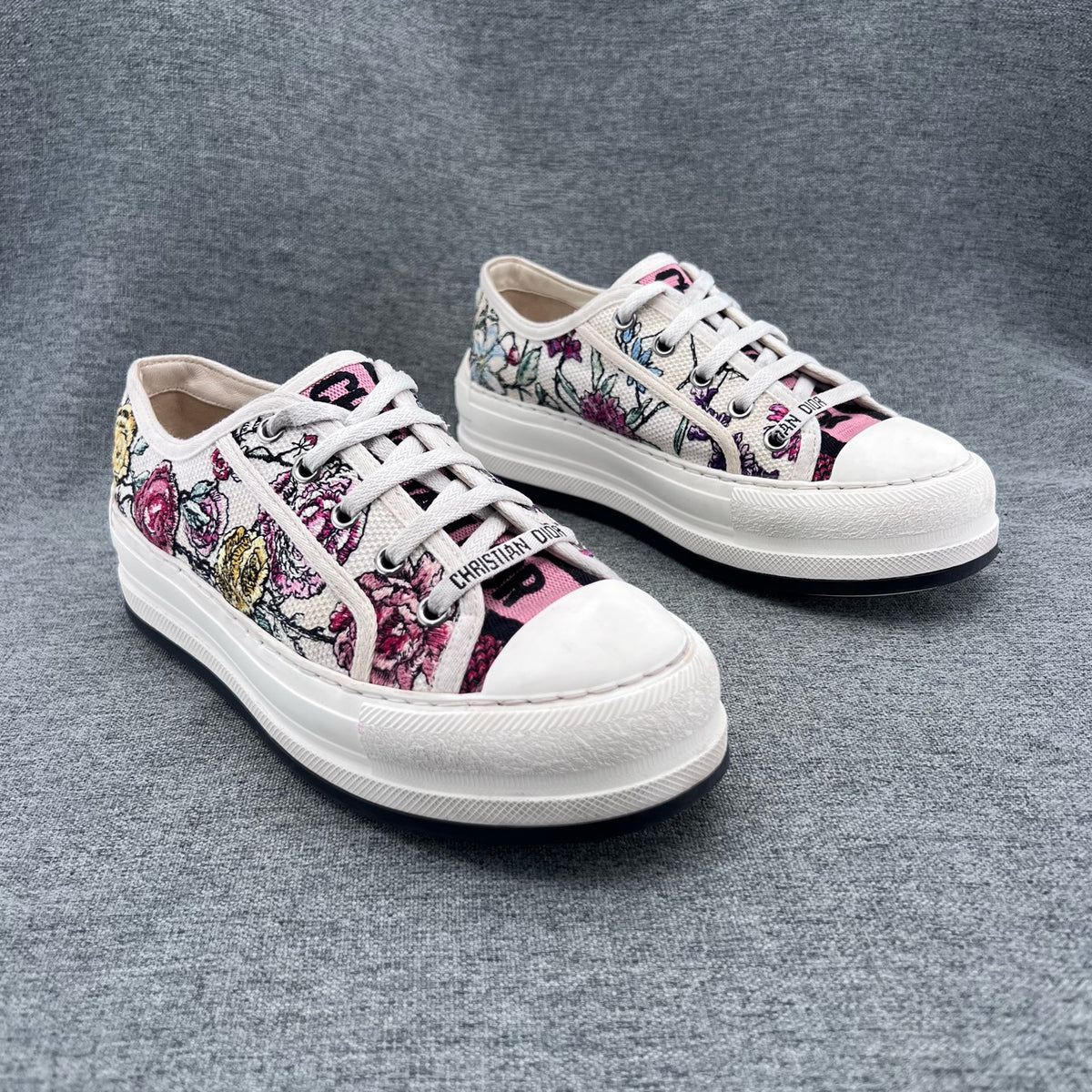 Dior Canvas
