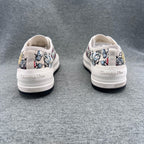 Dior Canvas