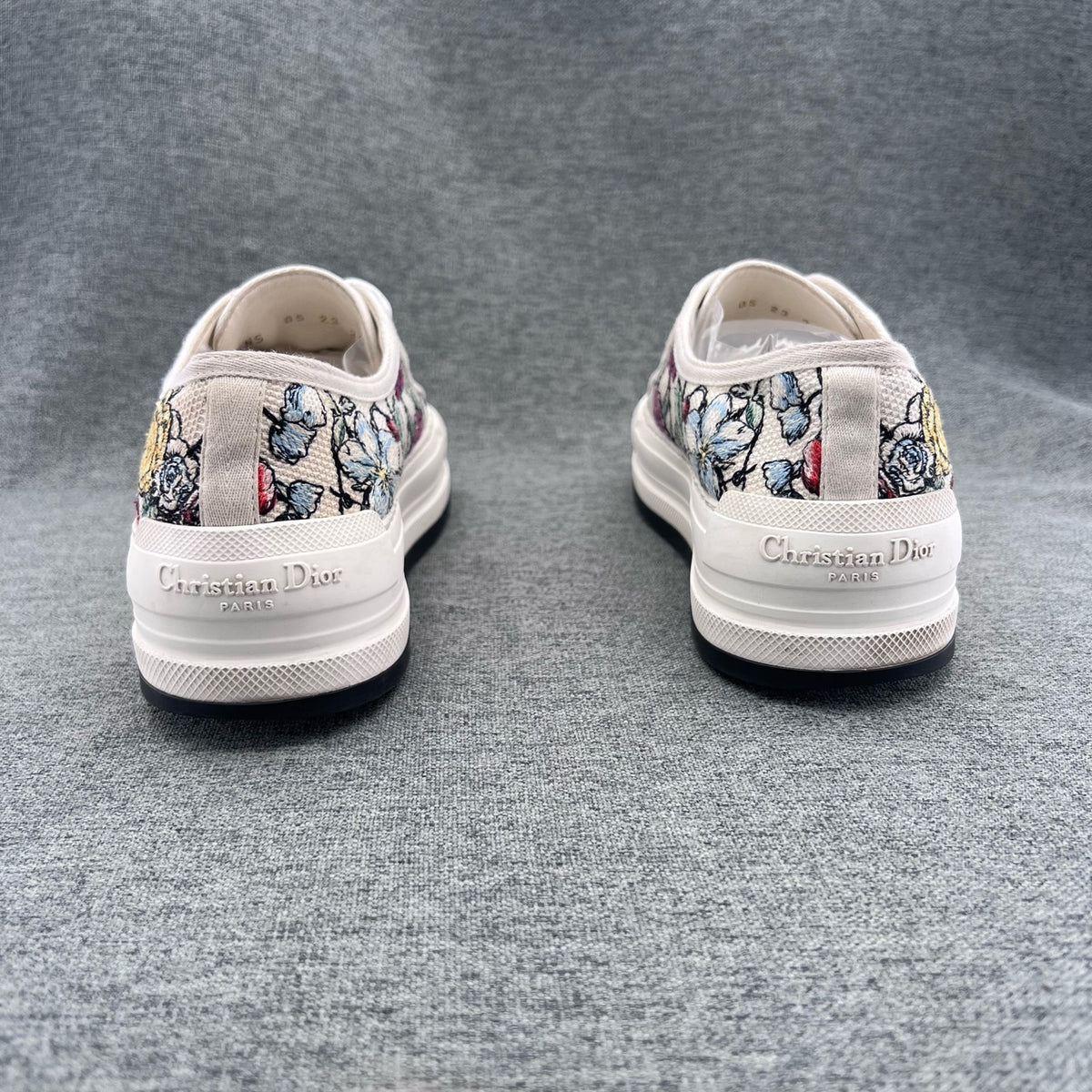 Dior Canvas