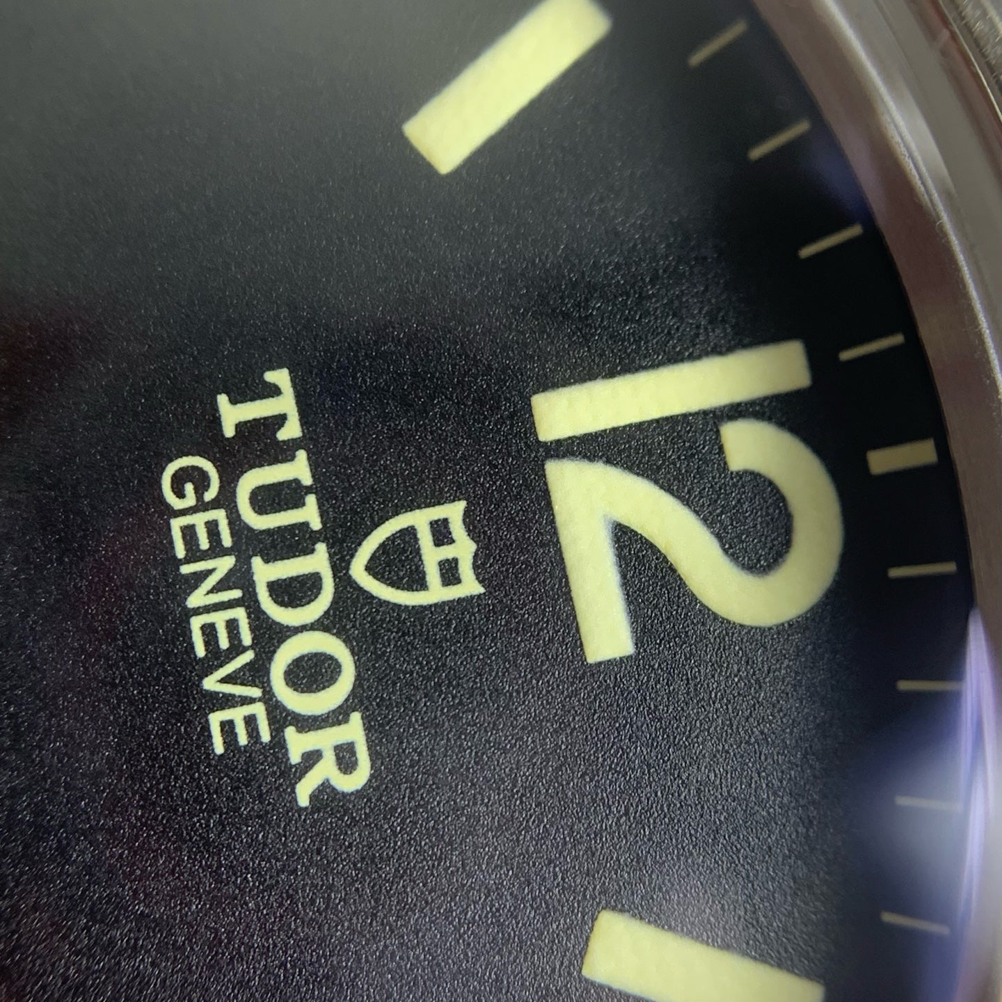 Tudor Tudor Ranger 39 millimeters m79950-0001