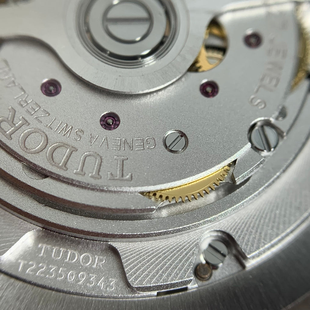 Tudor Tudor Ranger 39 millimeters m79950-0001