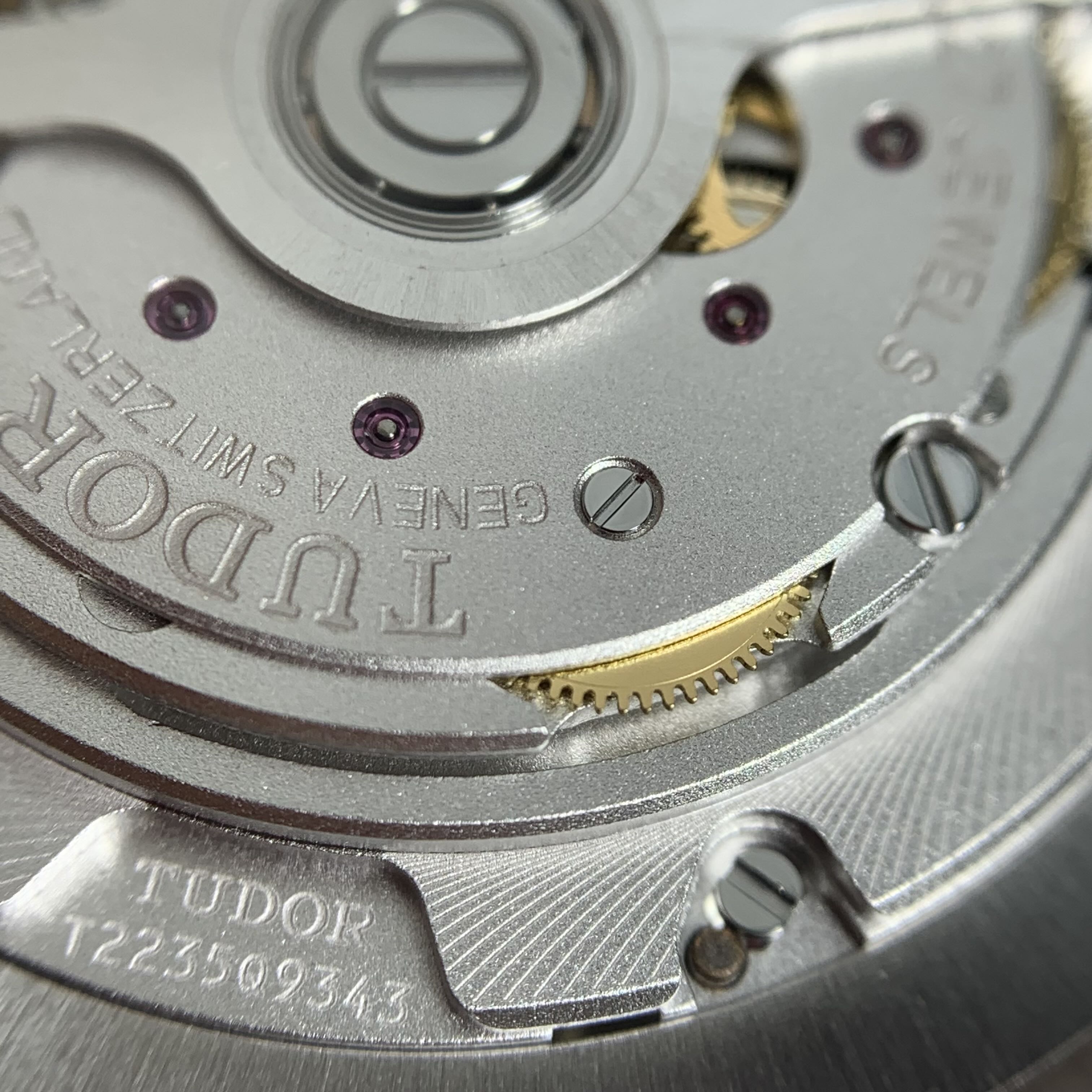 Tudor Tudor Ranger 39 millimeters m79950-0001