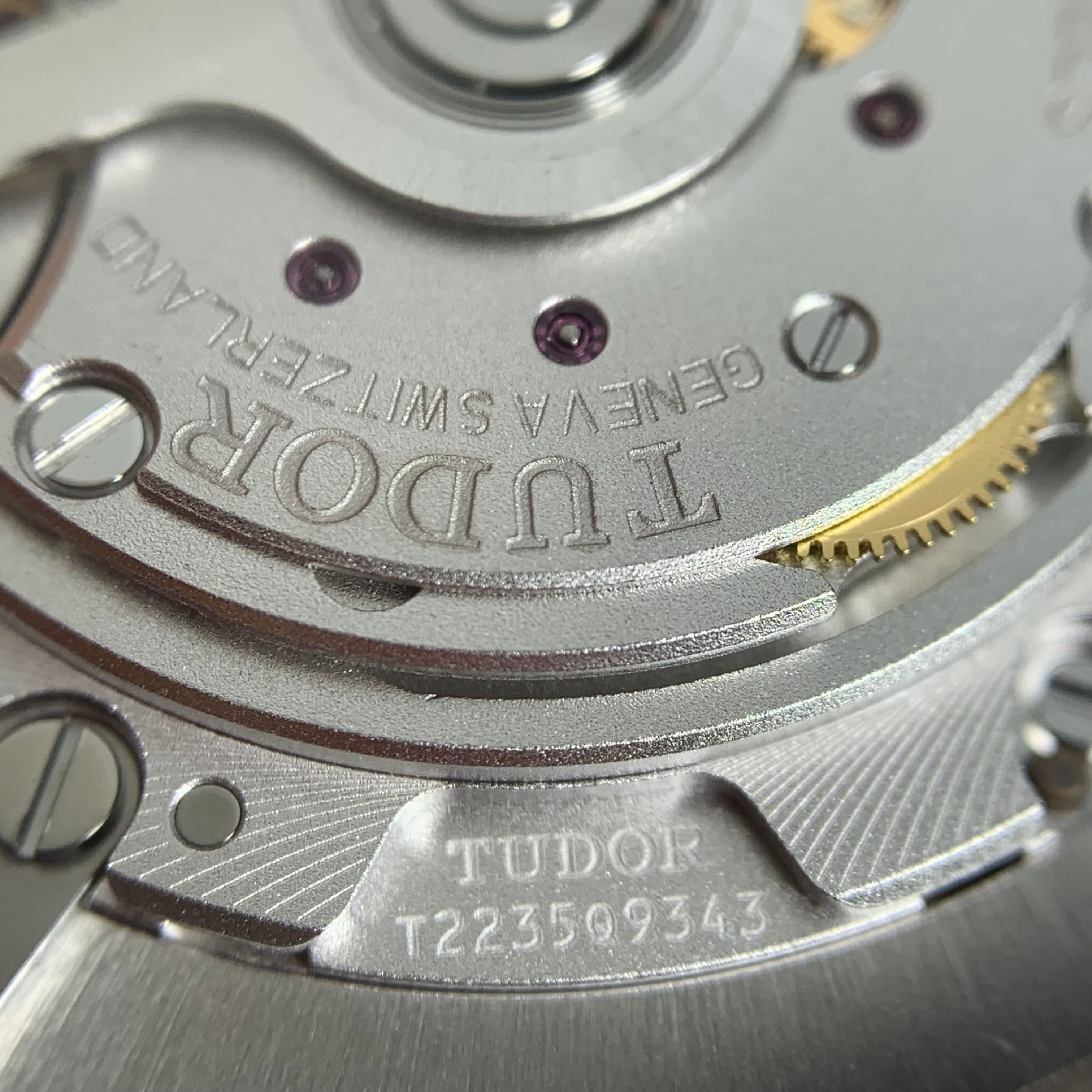 Tudor Tudor Ranger 39 millimeters m79950-0001
