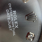 Rolex Log type 41 millimeters m126334-0005