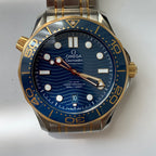 Omega Seahorse Series 42 210.20.42.20.03.001