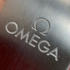 Omega Seahorse Series 42 210.20.42.20.03.001