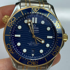 Omega Seahorse Series 42 210.20.42.20.03.001